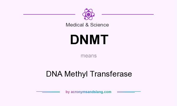 What does DNMT mean? It stands for DNA Methyl Transferase