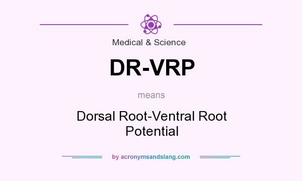 What does DR-VRP mean? It stands for Dorsal Root-Ventral Root Potential