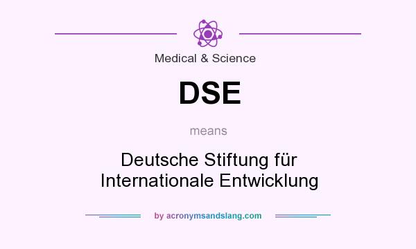 What does DSE mean? It stands for Deutsche Stiftung für Internationale Entwicklung