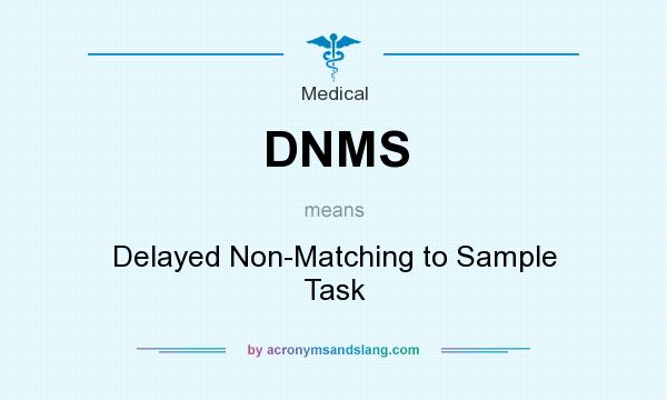 What does DNMS mean? It stands for Delayed Non-Matching to Sample Task
