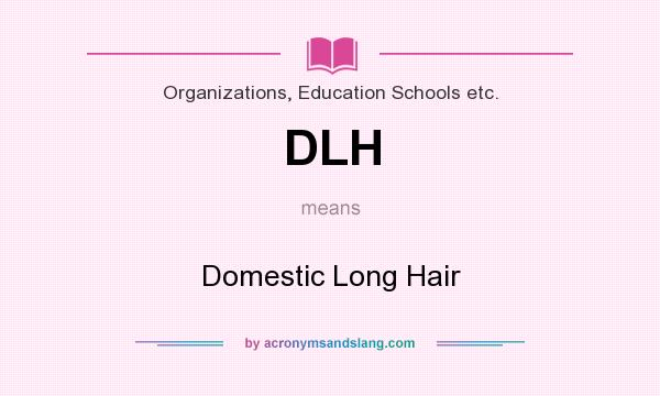 What does DLH mean? It stands for Domestic Long Hair