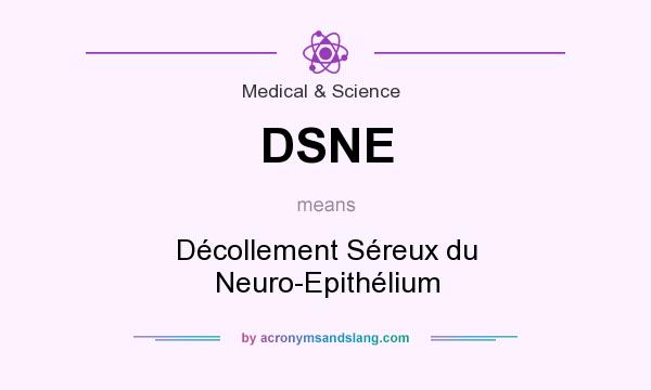 What does DSNE mean? It stands for Décollement Séreux du Neuro-Epithélium