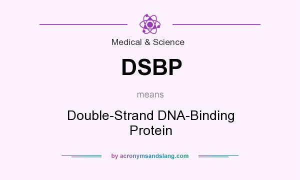 What does DSBP mean? It stands for Double-Strand DNA-Binding Protein