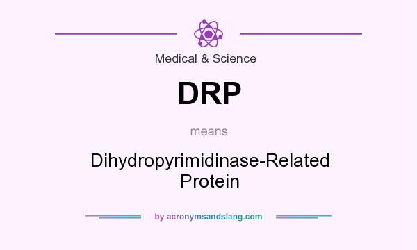 What does DRP mean? It stands for Dihydropyrimidinase-Related Protein