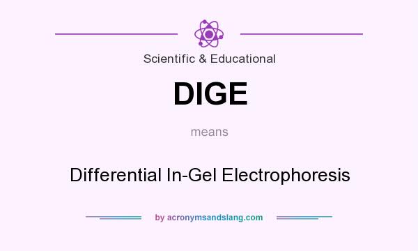 What does DIGE mean? It stands for Differential In-Gel Electrophoresis