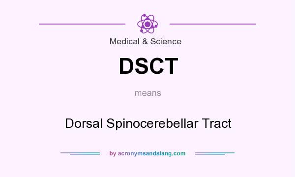What does DSCT mean? It stands for Dorsal Spinocerebellar Tract