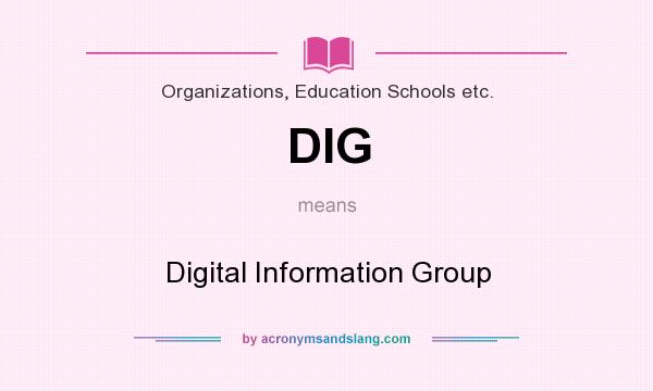 What does DIG mean? It stands for Digital Information Group