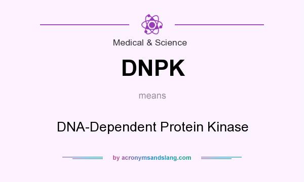 What does DNPK mean? It stands for DNA-Dependent Protein Kinase