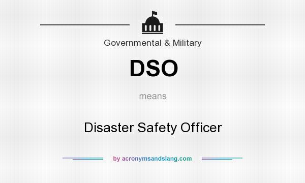What does DSO mean? It stands for Disaster Safety Officer
