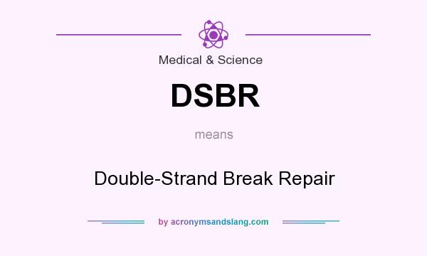 What does DSBR mean? It stands for Double-Strand Break Repair