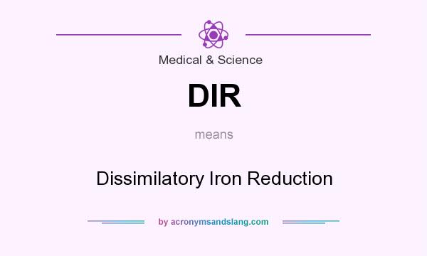 What does DIR mean? It stands for Dissimilatory Iron Reduction