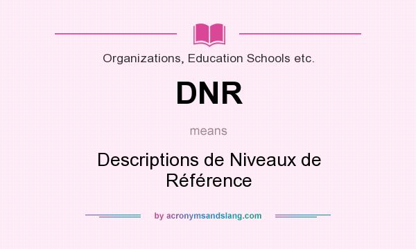 What does DNR mean? It stands for Descriptions de Niveaux de Référence
