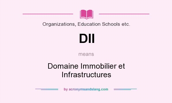 What does DII mean? It stands for Domaine Immobilier et Infrastructures