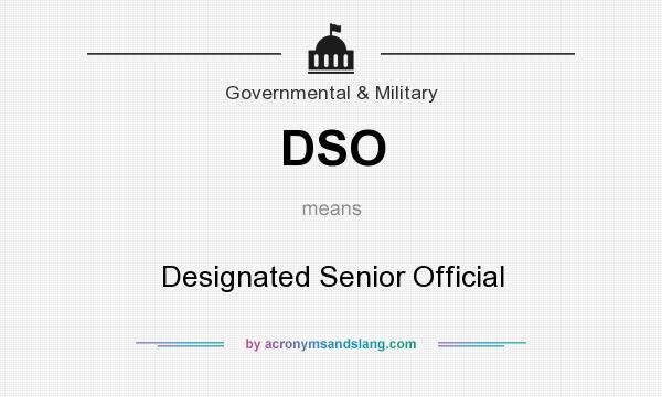 What does DSO mean? It stands for Designated Senior Official
