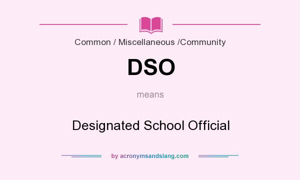 What does DSO mean? It stands for Designated School Official