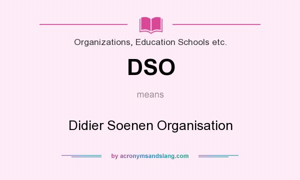 What does DSO mean? It stands for Didier Soenen Organisation