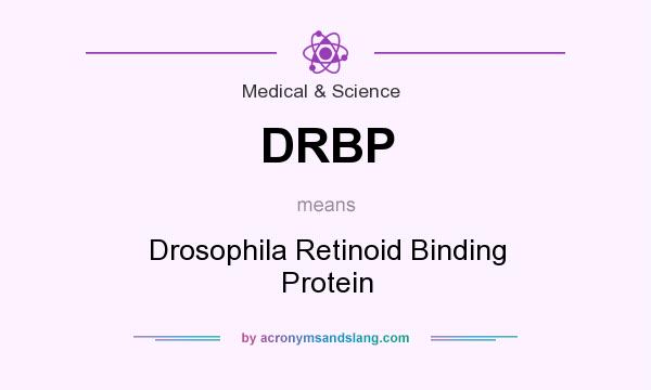 What does DRBP mean? It stands for Drosophila Retinoid Binding Protein