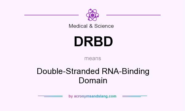 What does DRBD mean? It stands for Double-Stranded RNA-Binding Domain