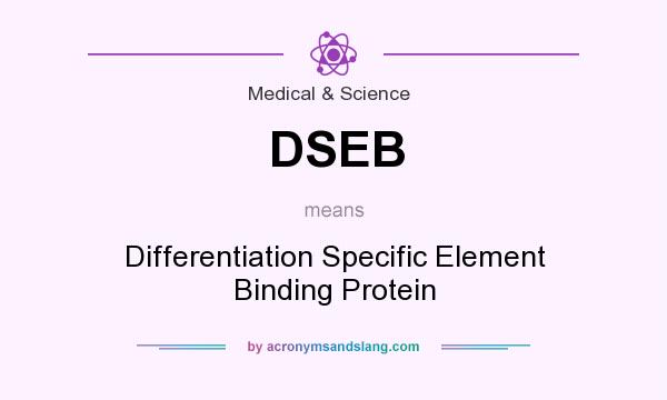 What does DSEB mean? It stands for Differentiation Specific Element Binding Protein