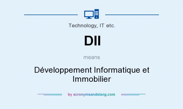 What does DII mean? It stands for Développement Informatique et Immobilier