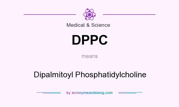 What does DPPC mean? It stands for Dipalmitoyl Phosphatidylcholine