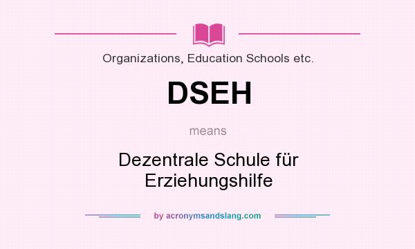 What does DSEH mean? It stands for Dezentrale Schule für Erziehungshilfe