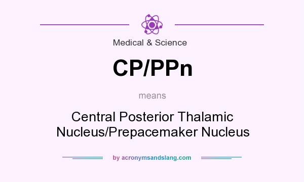What does CP/PPn mean? It stands for Central Posterior Thalamic Nucleus/Prepacemaker Nucleus