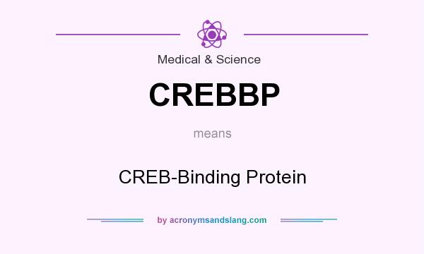 What does CREBBP mean? It stands for CREB-Binding Protein