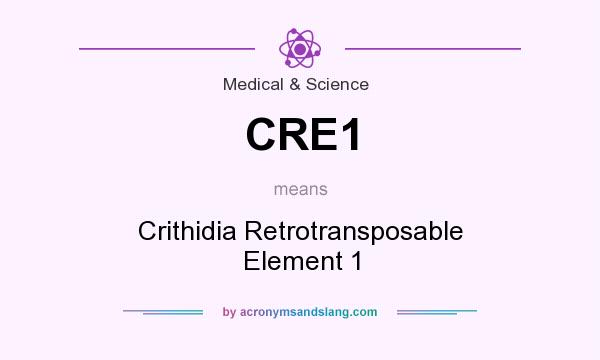What does CRE1 mean? It stands for Crithidia Retrotransposable Element 1
