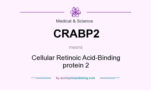 What does CRABP2 mean? It stands for Cellular Retinoic Acid-Binding protein 2