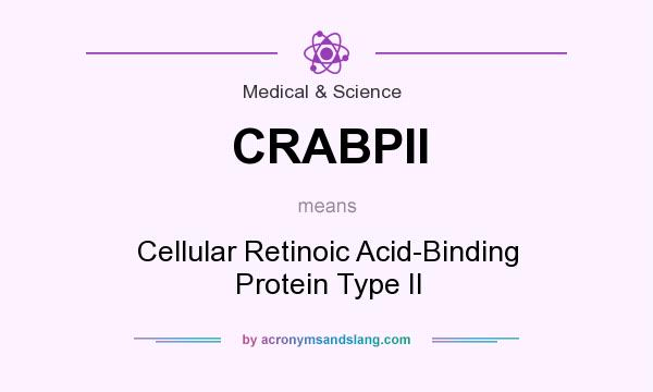 What does CRABPII mean? It stands for Cellular Retinoic Acid-Binding Protein Type II