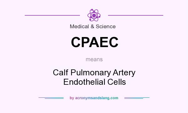 What does CPAEC mean? It stands for Calf Pulmonary Artery Endothelial Cells