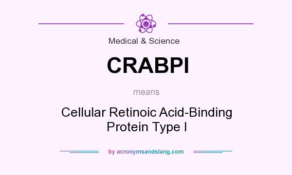 What does CRABPI mean? It stands for Cellular Retinoic Acid-Binding Protein Type I
