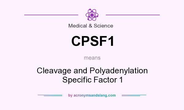 What does CPSF1 mean? It stands for Cleavage and Polyadenylation Specific Factor 1