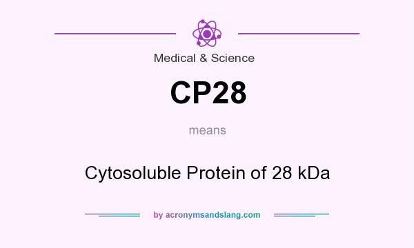 What does CP28 mean? It stands for Cytosoluble Protein of 28 kDa
