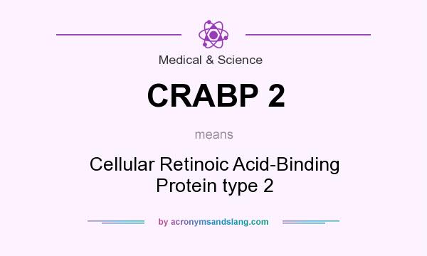 What does CRABP 2 mean? It stands for Cellular Retinoic Acid-Binding Protein type 2