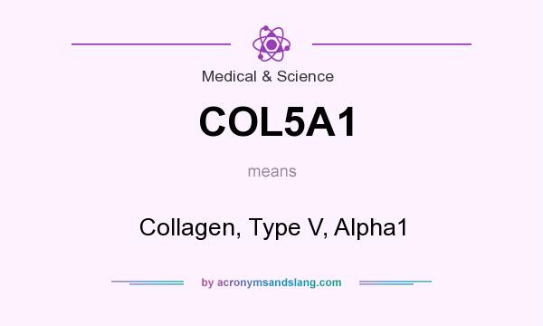 What does COL5A1 mean? It stands for Collagen, Type V, Alpha1