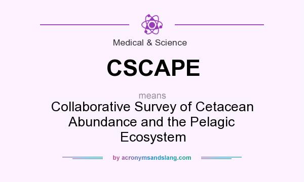 What does CSCAPE mean? It stands for Collaborative Survey of Cetacean Abundance and the Pelagic Ecosystem