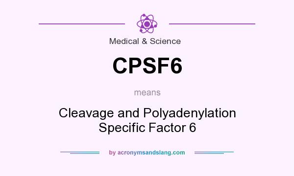 What does CPSF6 mean? It stands for Cleavage and Polyadenylation Specific Factor 6