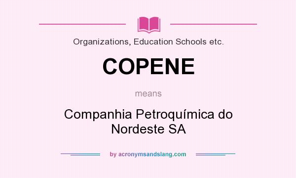 What does COPENE mean? It stands for Companhia Petroquímica do Nordeste SA
