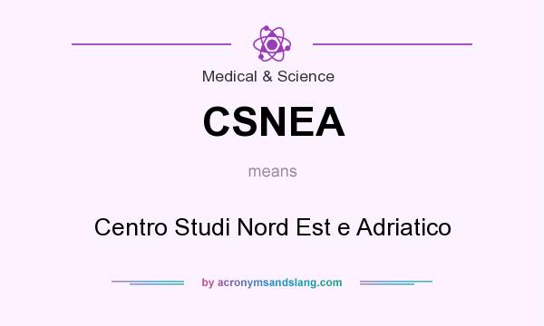 What does CSNEA mean? It stands for Centro Studi Nord Est e Adriatico