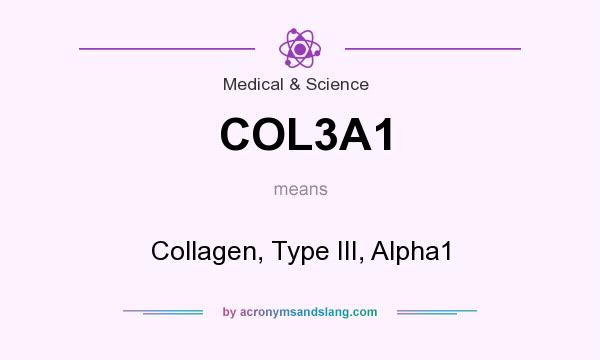 What does COL3A1 mean? It stands for Collagen, Type III, Alpha1