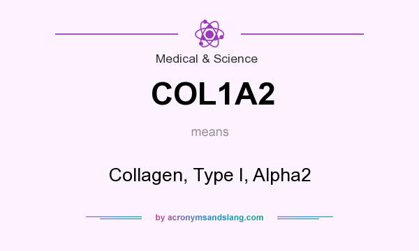 What does COL1A2 mean? It stands for Collagen, Type I, Alpha2