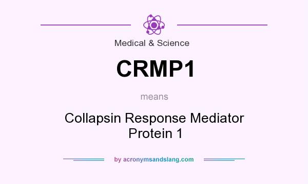 What does CRMP1 mean? It stands for Collapsin Response Mediator Protein 1