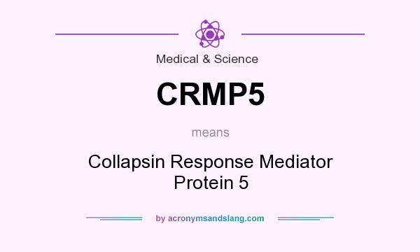 What does CRMP5 mean? It stands for Collapsin Response Mediator Protein 5