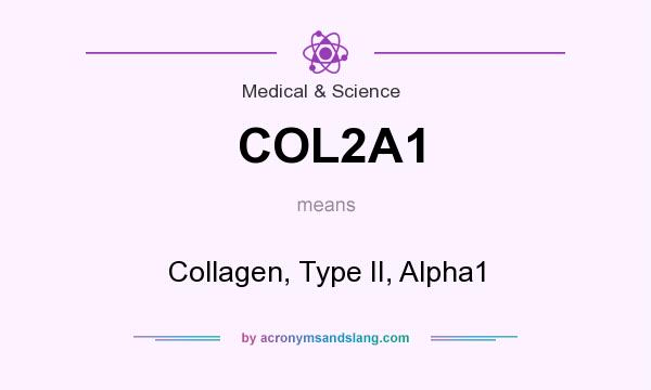 What does COL2A1 mean? It stands for Collagen, Type II, Alpha1