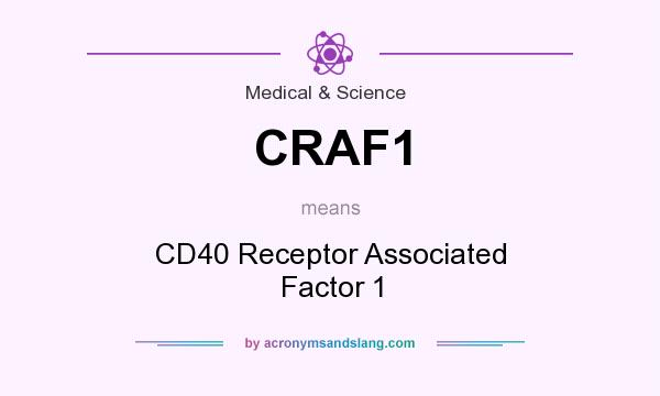 What does CRAF1 mean? It stands for CD40 Receptor Associated Factor 1