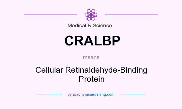 What does CRALBP mean? It stands for Cellular Retinaldehyde-Binding Protein