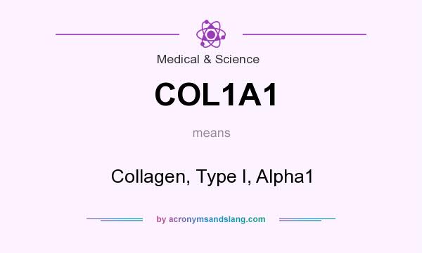 What does COL1A1 mean? It stands for Collagen, Type I, Alpha1