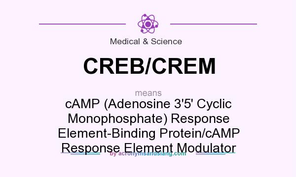 What does CREB/CREM mean? It stands for cAMP (Adenosine 3`5` Cyclic Monophosphate) Response Element-Binding Protein/cAMP Response Element Modulator